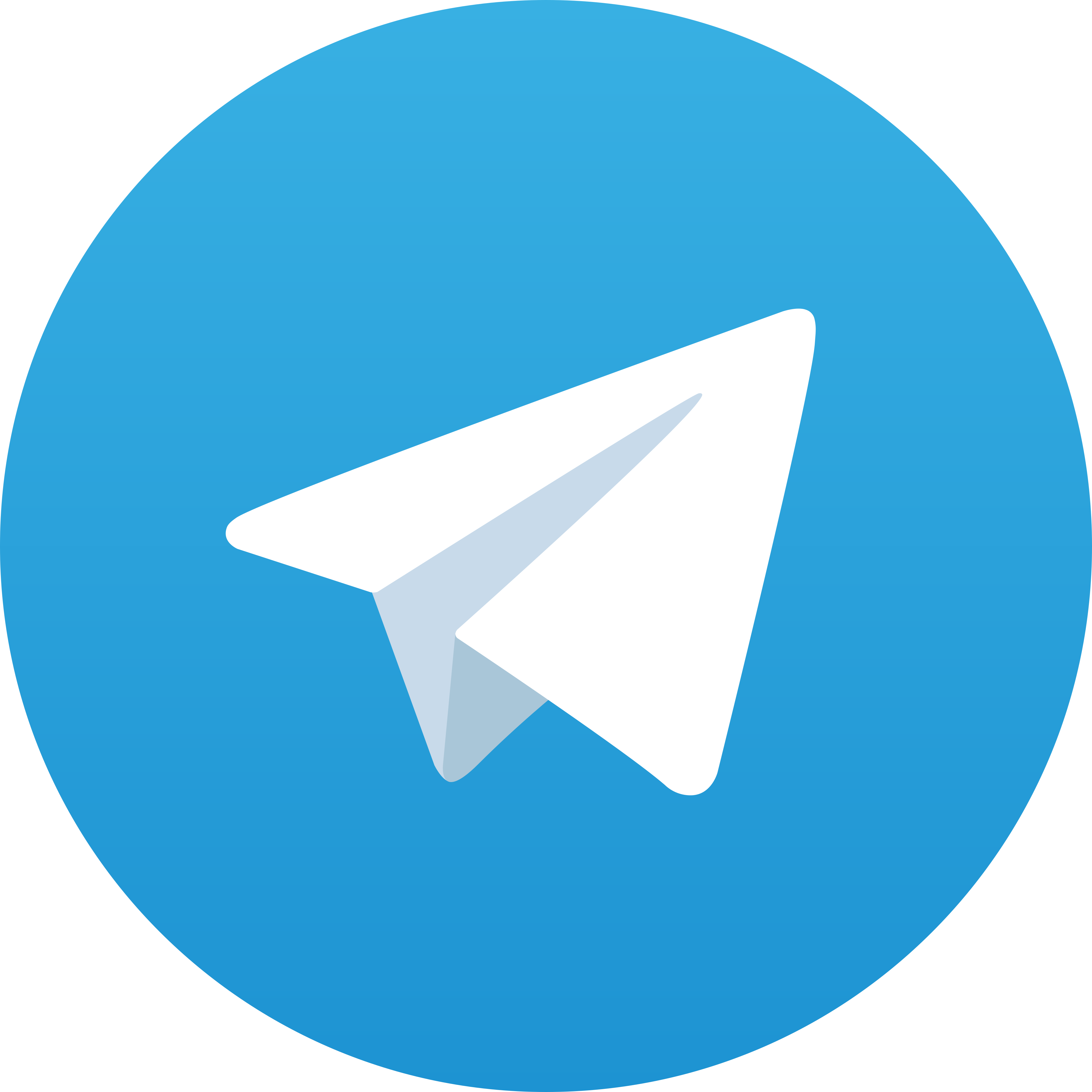 Telegram Live48